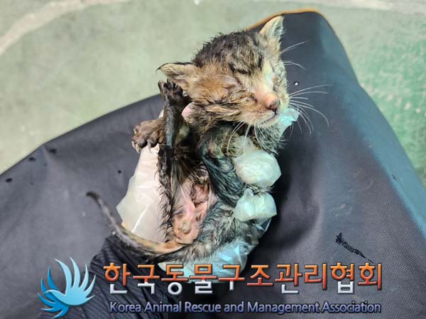 종료(자연사) 한국…